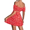 image:imageLYANER Womens 2 Piece Outfits Floral Off Shoulder Tie Up Crop Top and Mini Skirt SetRed Floral