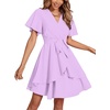 image:imageLYANER Womens Deep V Neck Short Sleeve Ruffle Layer Wrap Tie Waist Swing Mini DressPale Purple