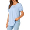 image:imageLYANER Womens Puff Short Sleeve Tunic Tops Pleated Crewneck Loose Dressy Blouses T ShirtsLight Blue