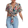Tropical Multicolored